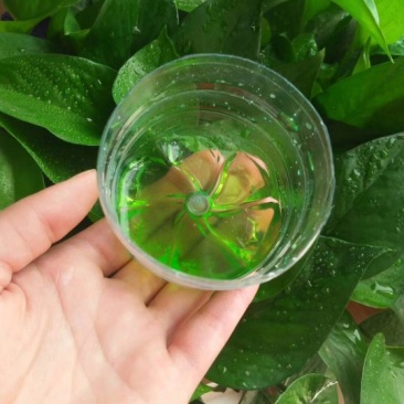 硝硫基氮肥