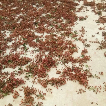 一级大红袍，产地直销，欢迎选购