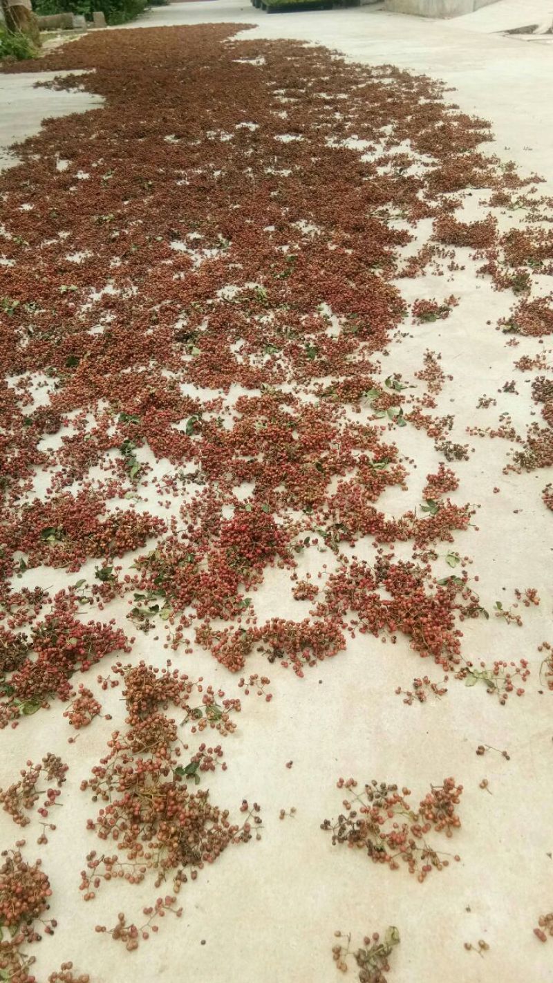 一级大红袍，产地直销，欢迎选购