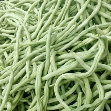 精品白无丝架豆王通货