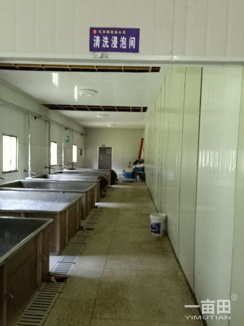 野山笋丝，500克/包，20包/件