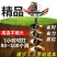 打孔打洞机钻孔机挖坑机栽植机植树机打桩机栽立柱挖树坑