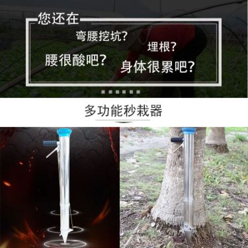 栽苗器种植器西瓜苗番茄苗种植机