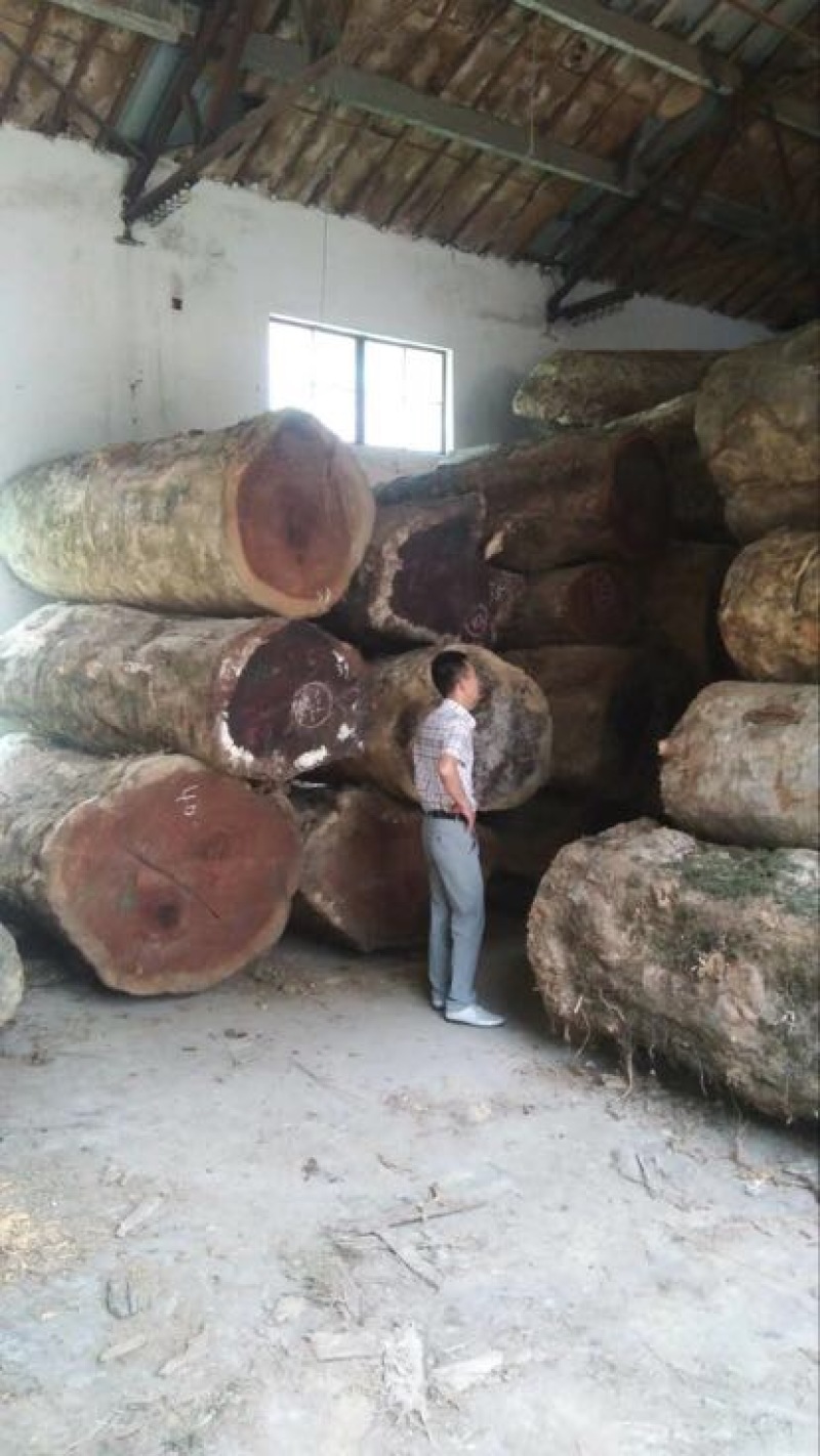 金丝楠乌木家具