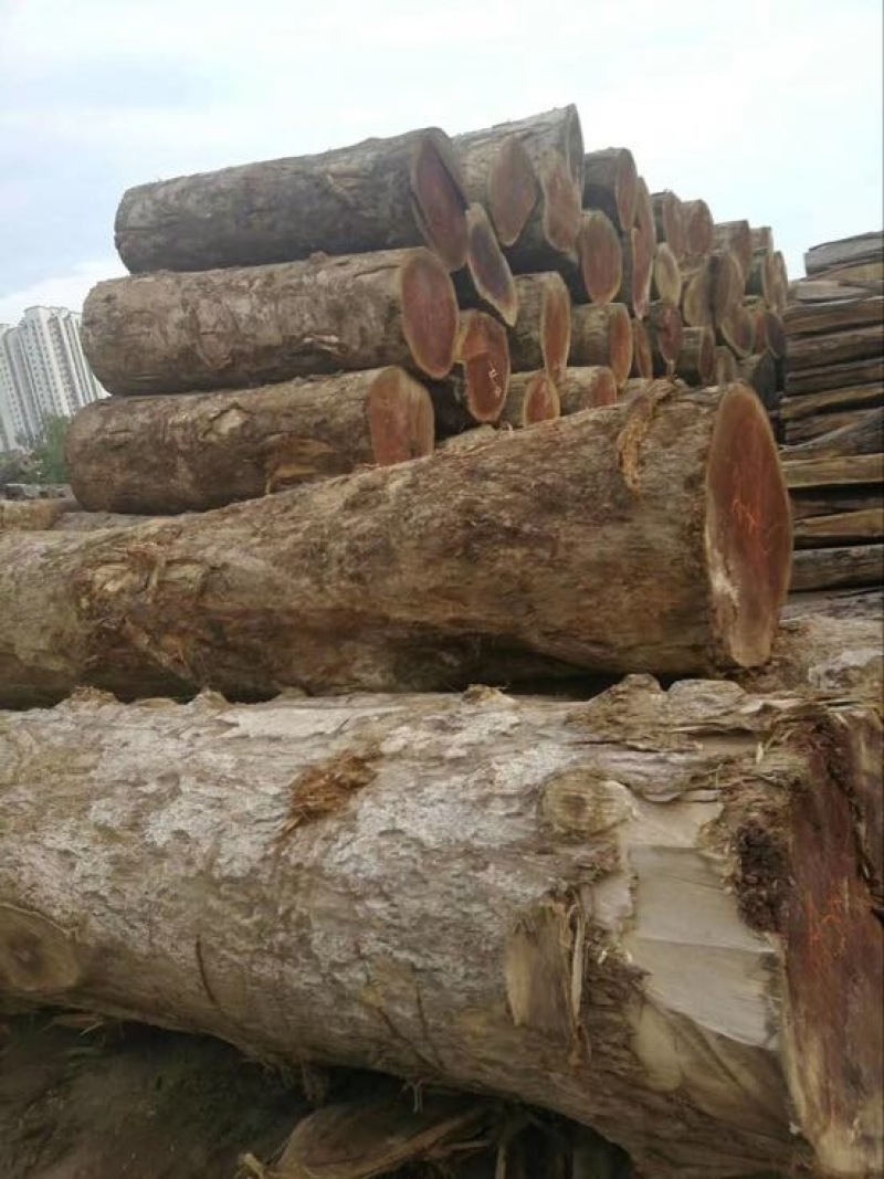 金丝楠乌木家具