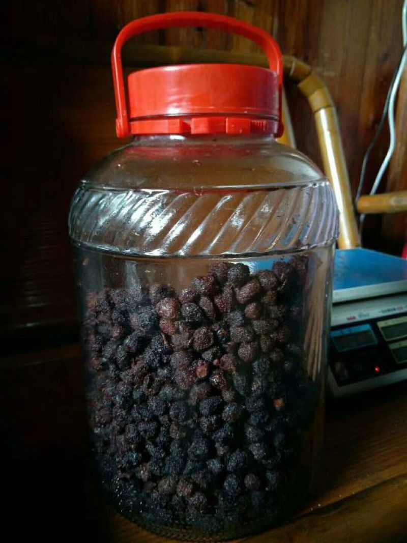 杨梅干