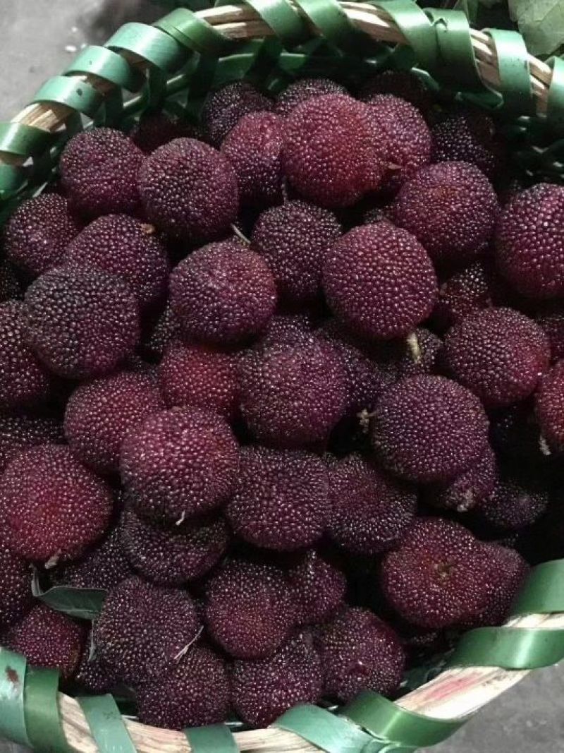 杨梅干