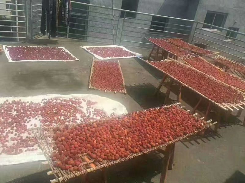 杨梅干