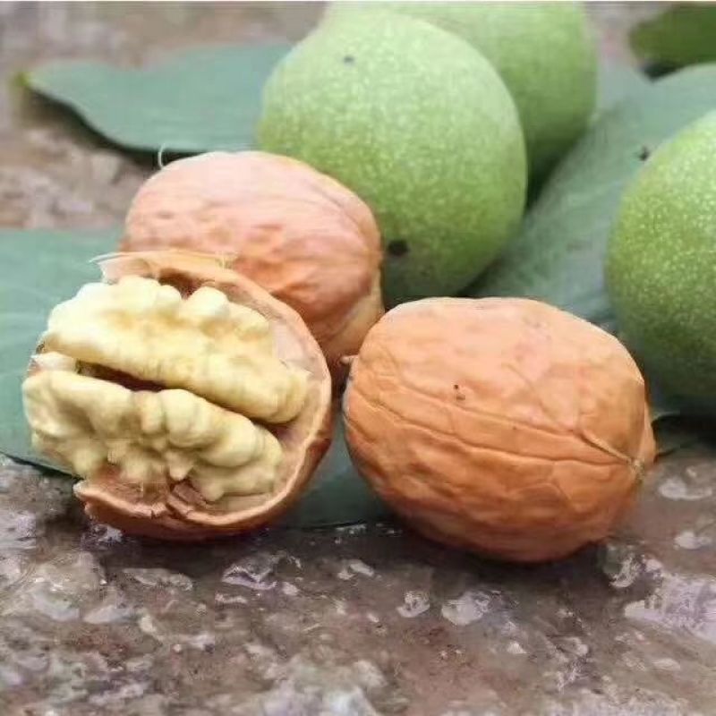 新鲜核桃