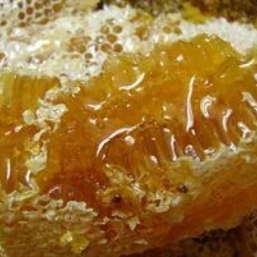 土蜂蜜