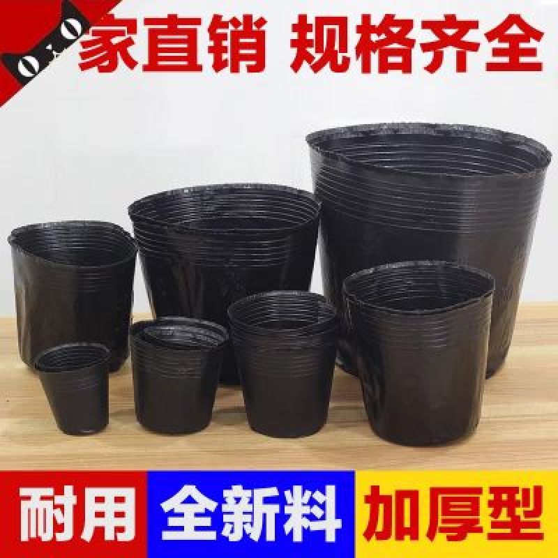 育苗袋育苗杯营养杯育苗盆规格齐全厂家供货