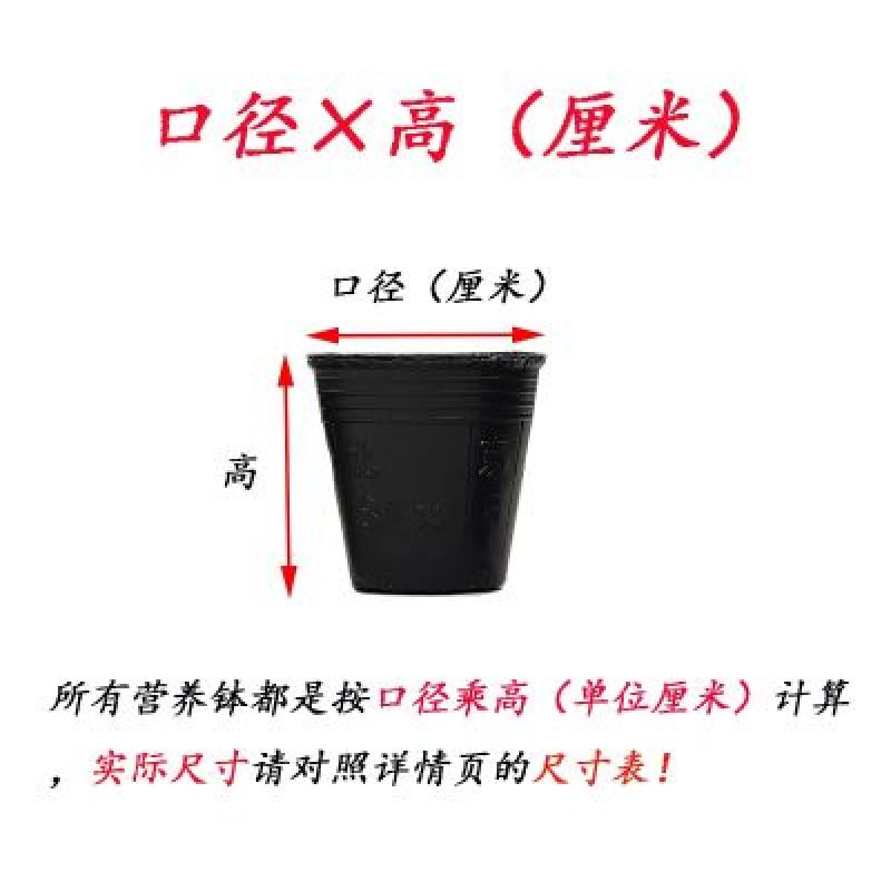 育苗袋育苗杯营养杯育苗盆规格齐全厂家供货