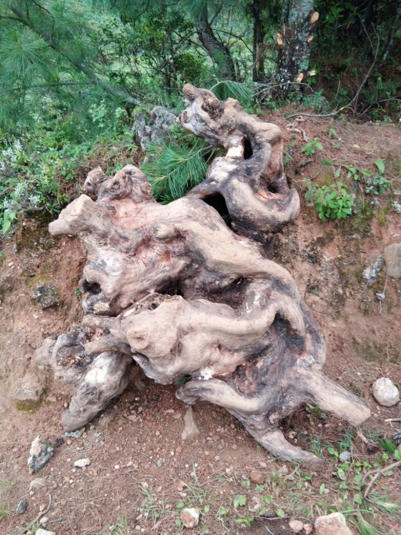 根雕