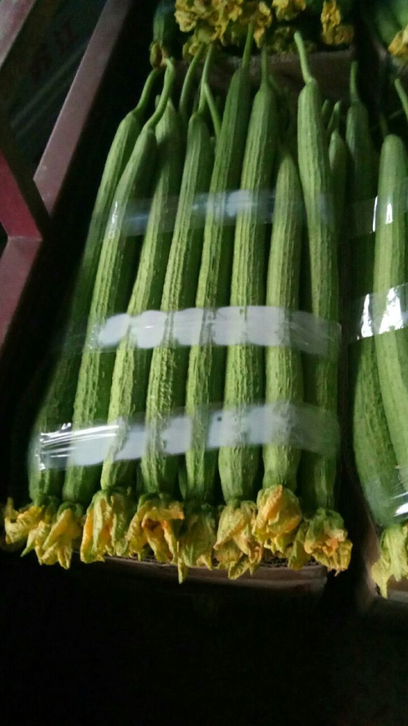 鲜花丝瓜