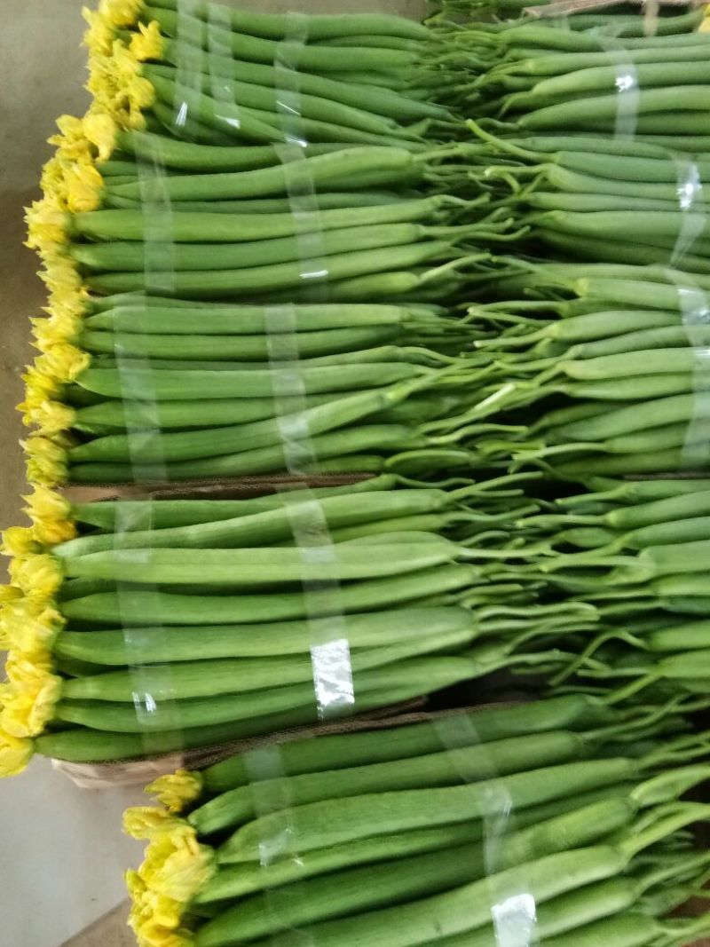 鲜花丝瓜