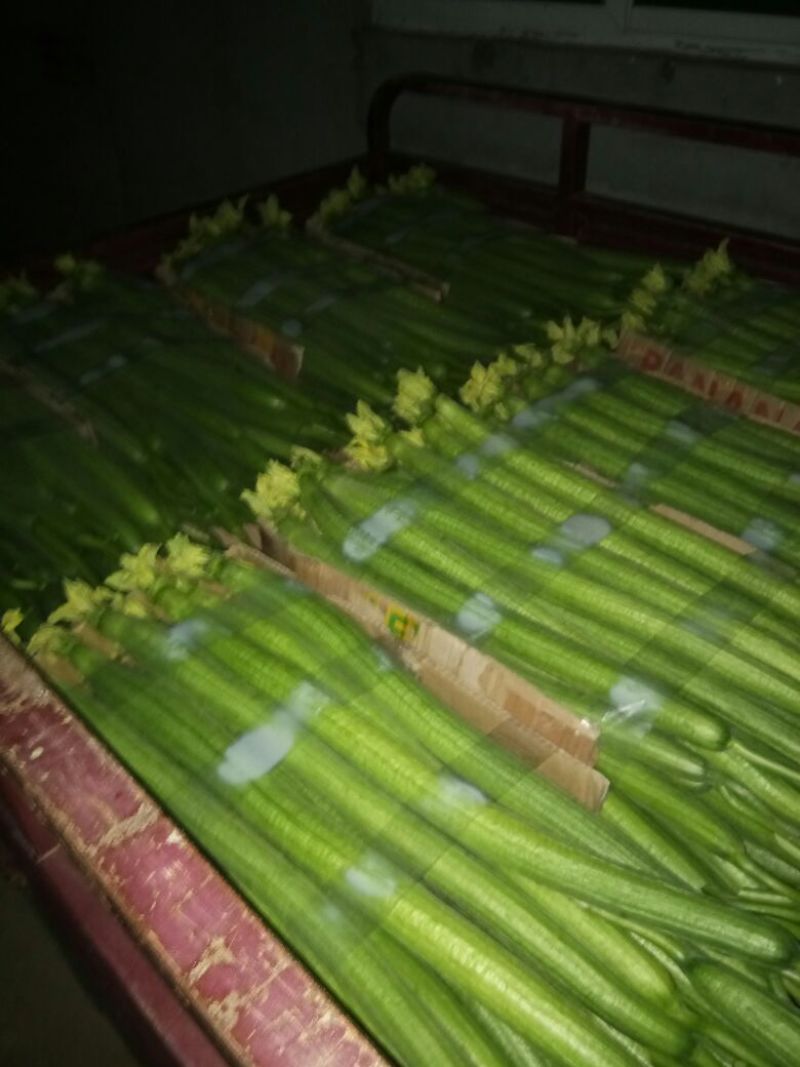 鲜花丝瓜