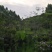 风景树