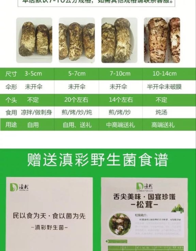 【一件代发】2021年云南丽江香格里拉野生鲜松茸产地批发