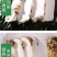 【一件代发】2021年云南丽江香格里拉野生鲜松茸产地批发