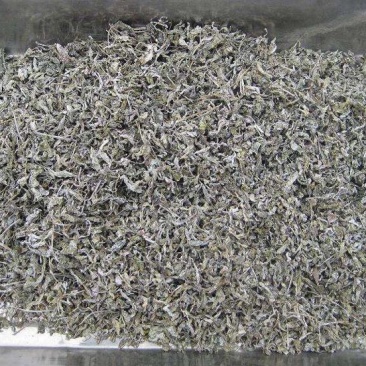 藤茶特级