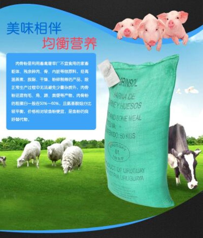 优质肉粉鸡肉粉牛肉骨粉全部厂家直供没有中间商品质保障