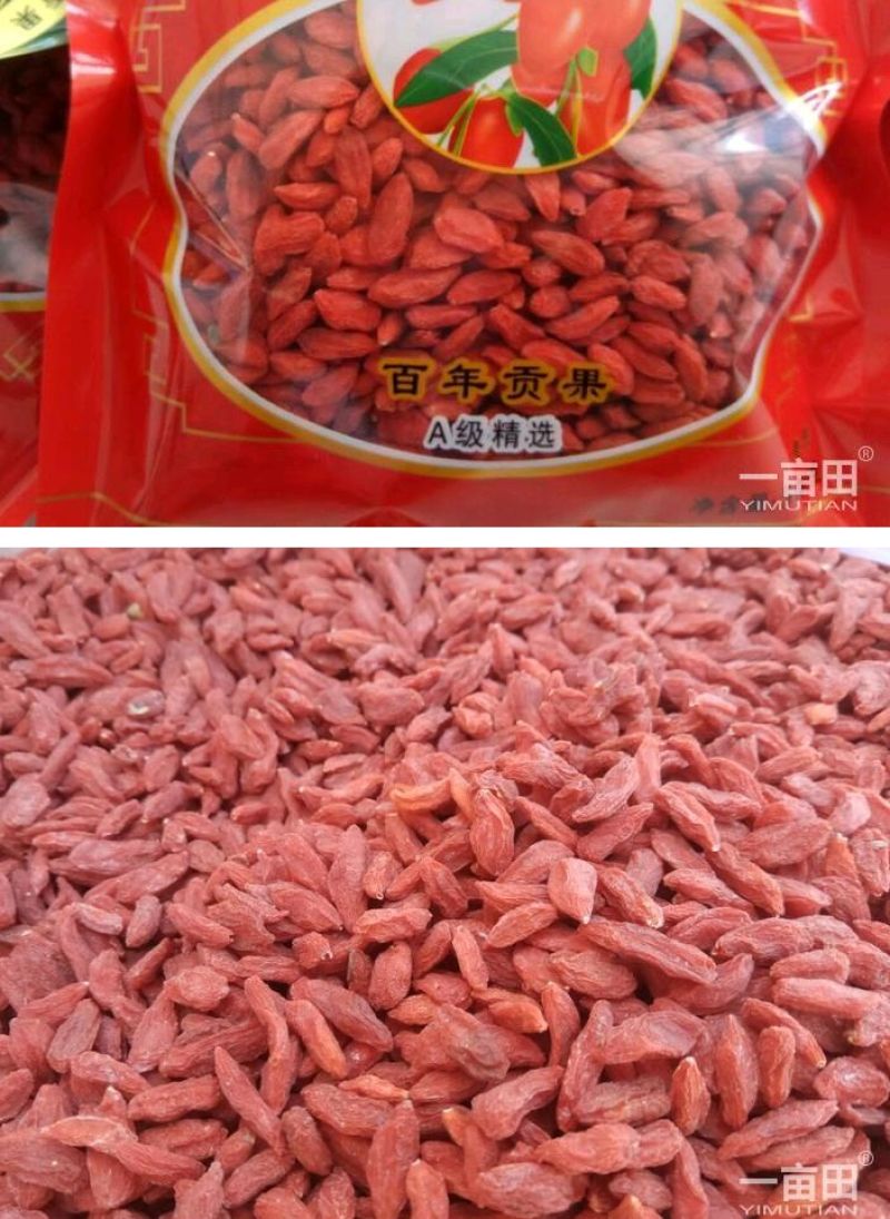 红枸杞，宁杞7号大果，无硫磺熏染无任何添加剂，包邮