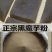 魔芋粉，魔芋豆腐，灰菜粉