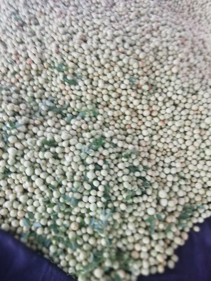 【实力推荐】婆枣大量上市可对接商超团购欢迎咨询