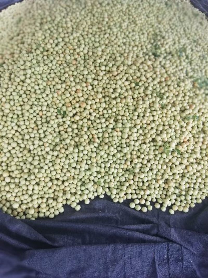 【实力推荐】婆枣大量上市可对接商超团购欢迎咨询