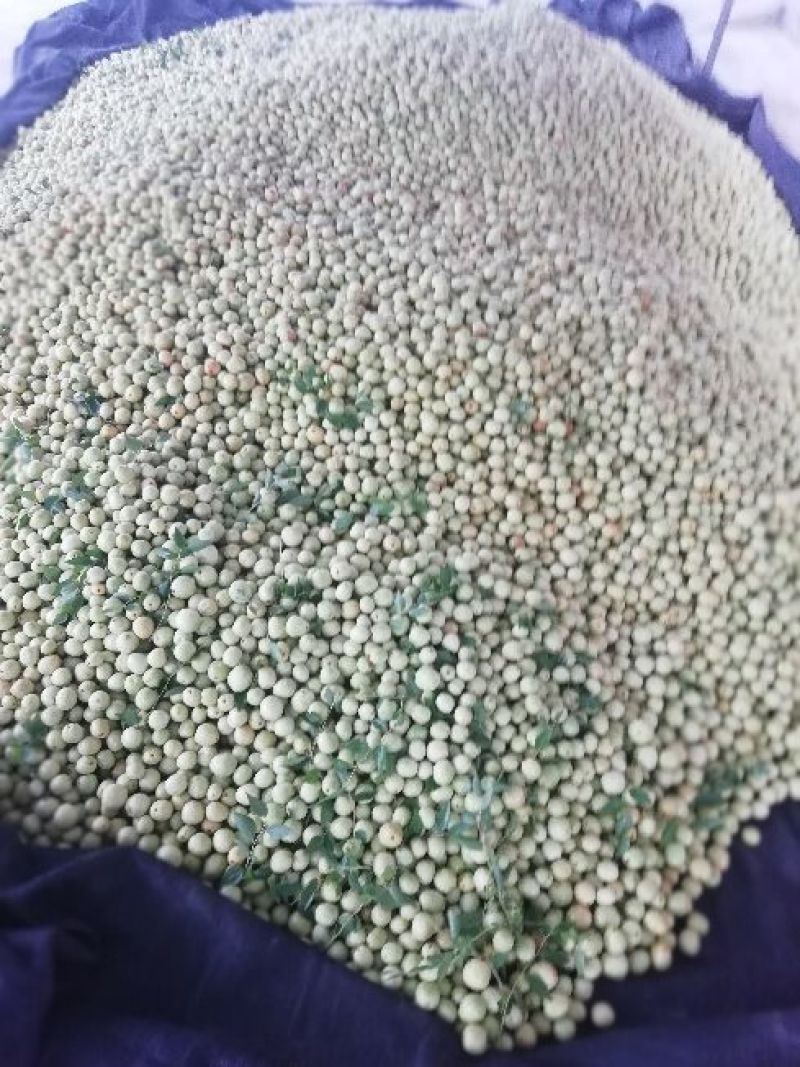 【实力推荐】婆枣大量上市可对接商超团购欢迎咨询