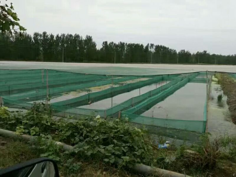厂价现货菊花网爬藤网拉网网箱抄网网兜推网养殖网