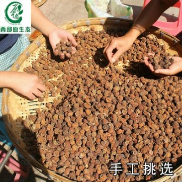 维C之王刺梨