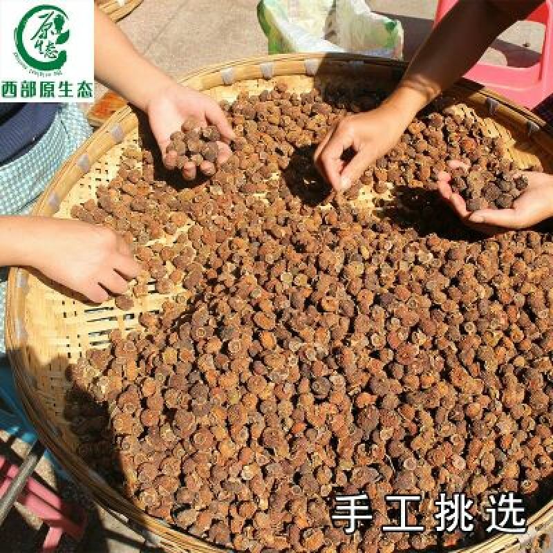 维C之王刺梨