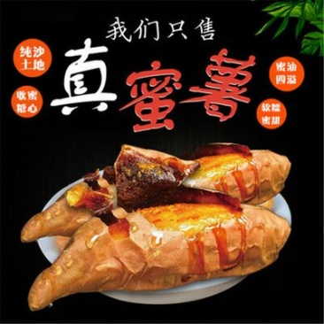 山东烟薯25号小蜜薯烤薯流糖流蜜一件代发