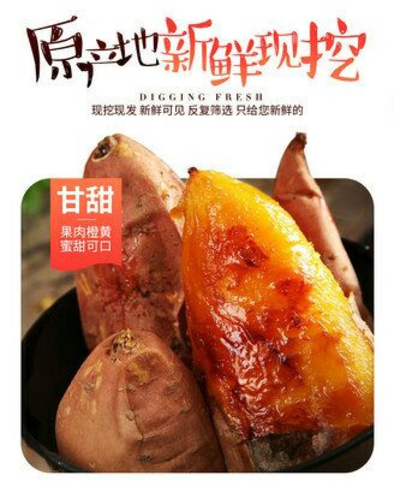 山东烟薯25号小蜜薯烤薯流糖流蜜一件代发