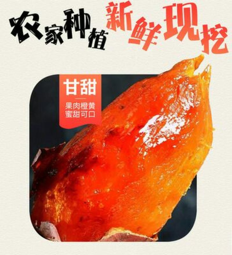 山东烟薯25号小蜜薯烤薯流糖流蜜一件代发