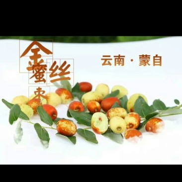 云南蒙自金丝枣(冰糖蜜枣)