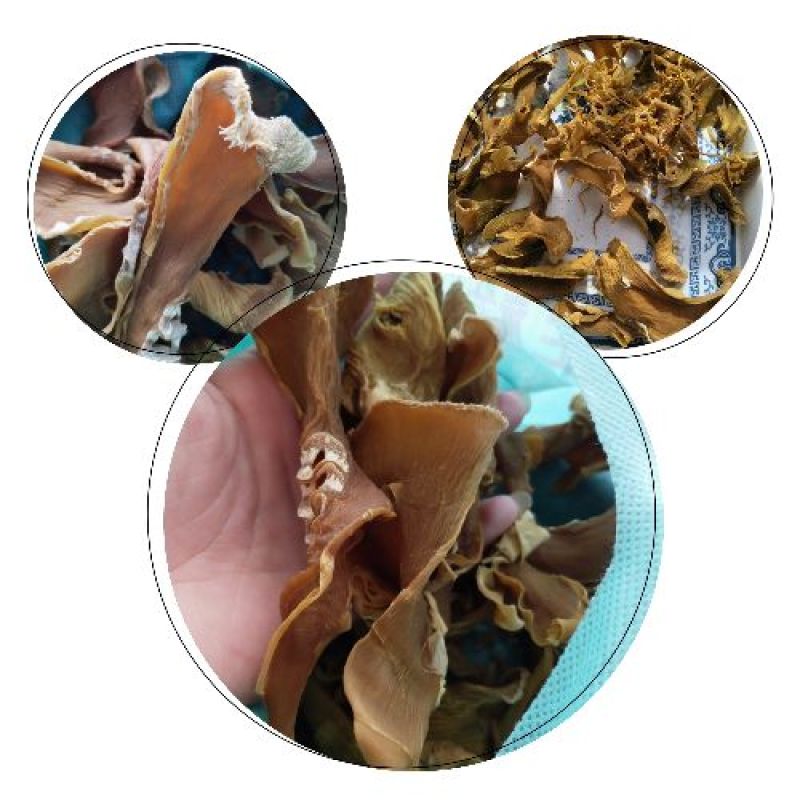 干巴笋