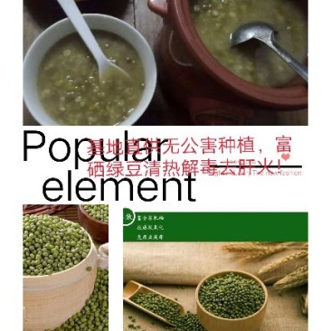 富硒绿豆500g×1