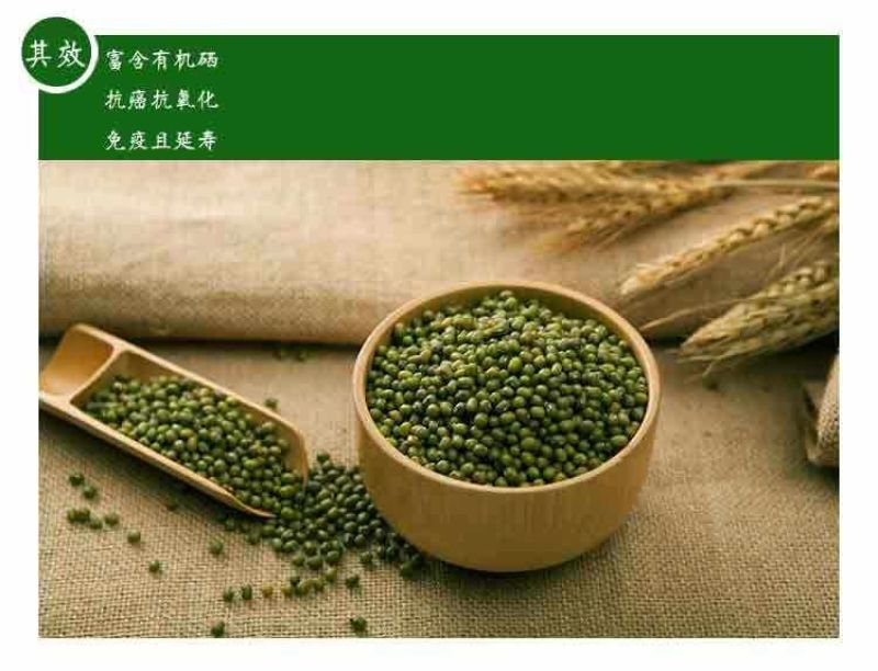 富硒绿豆500g×1