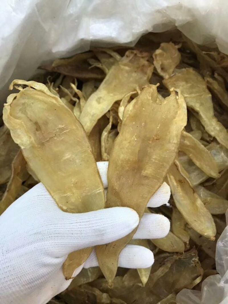 鱼胶