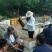 涉县太行山脉野生荆条蜂蜜，无污染、无杂质