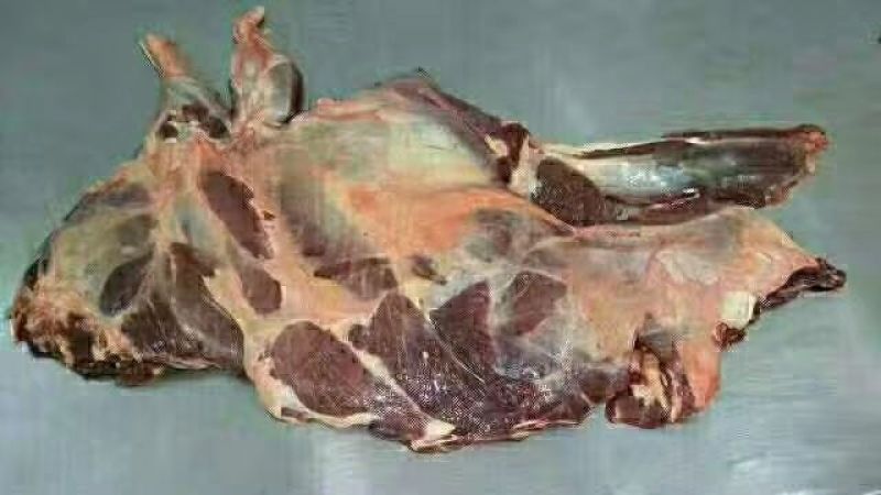 驴肉