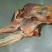 驴肉