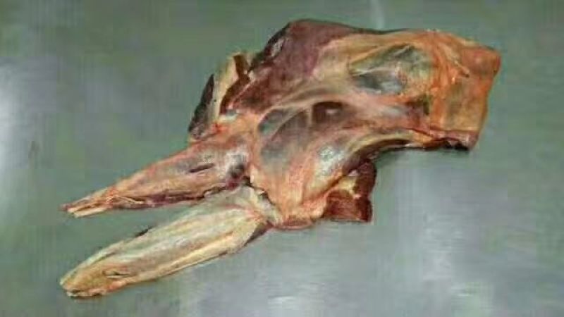 驴肉