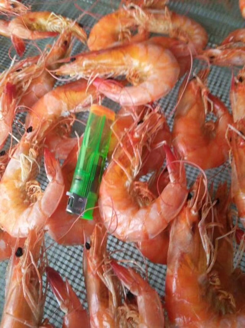 淡干海水虾干