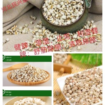 富硒薏米基地直供无公害种植零售价格每斤18元，量大从优一