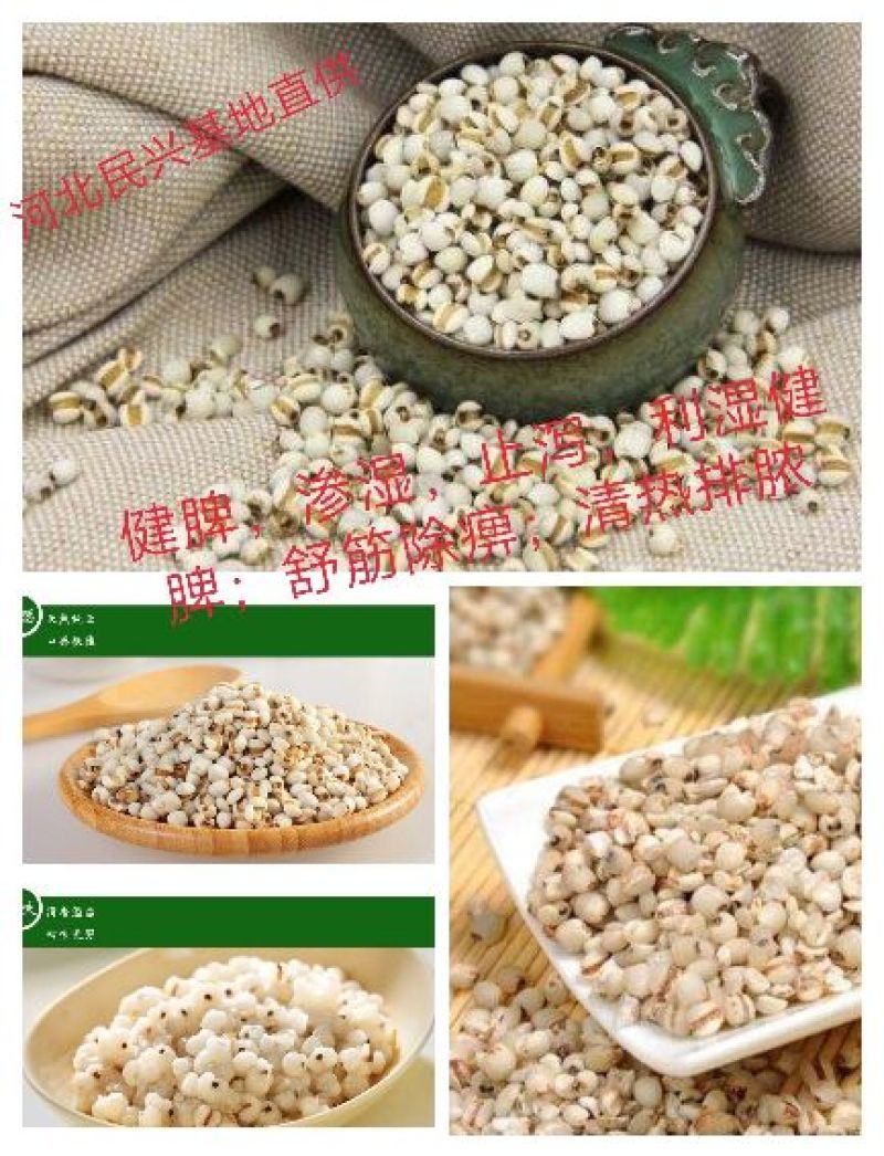 富硒薏米基地直供无公害种植零售价格每斤18元，量大从优一