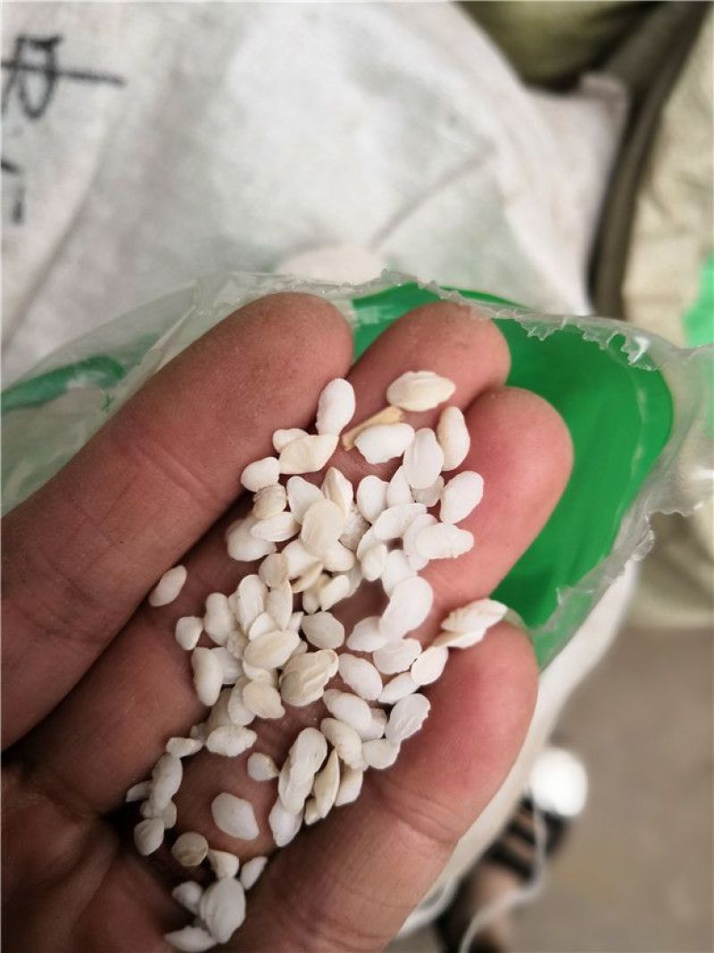 鱼脑石