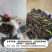 富硒黑豆皮，零售价500g×5礼盒88元，100g单包1